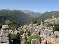 DSC02507