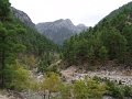 DSC03322