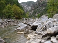 DSC03335