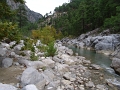 DSC03340