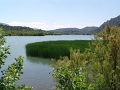 DSC04555